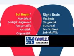 Sol ve Sağ Beyin Arasındaki Fark Nedir?