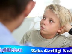 Zeka Geriliği Belirtileri Nedenleri ve Tedavisi