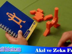 Akıl ve Zeka Arasındaki Fark Nedir?