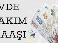 Şubat Ayı Evde Bakım Maaşı Yatan İller?