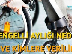 Engelli Aylığı Kimlere Verilir?
