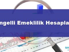 Engelli Emeklilik Hesaplama
