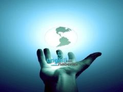 Bedensel Engellilerin Karşılaştığı Sorunlar