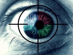 Göz Görme Derecesine Göre Engelli Raporu Oranı