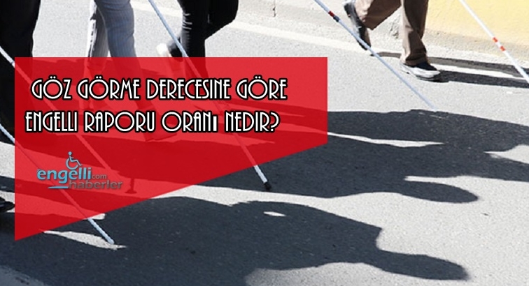 Göz Görme Derecesine Göre Engelli Raporu 