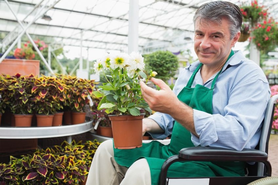 engelliler için iş